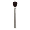 Professional Powder Brush 2