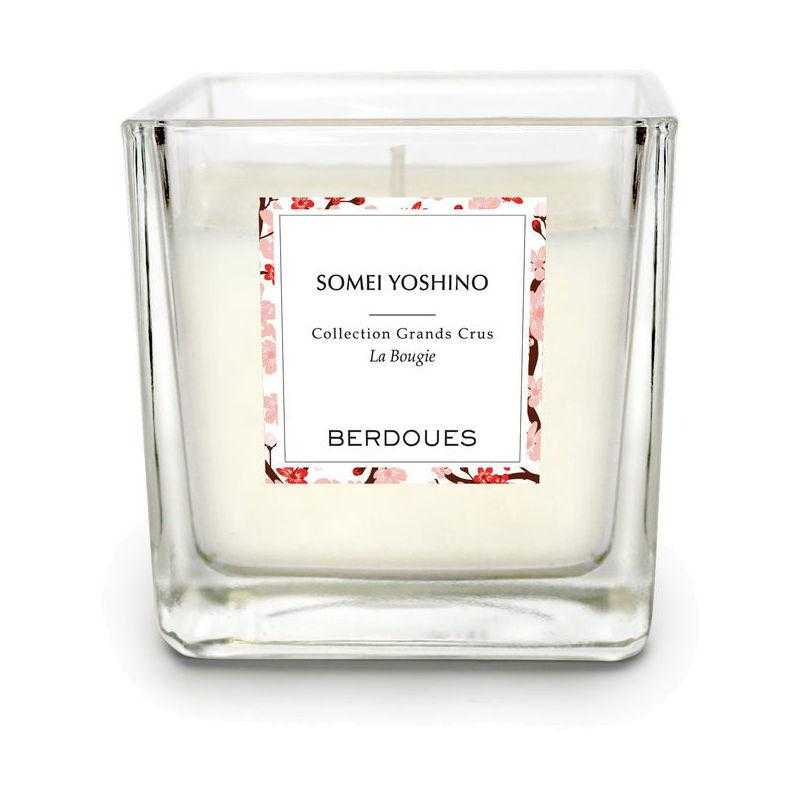 BOUGIE-SOMEI YOSHINO