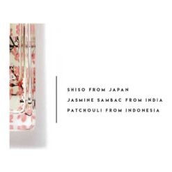 Grand Crus Somei Yoshino - Gift Box - Image 4